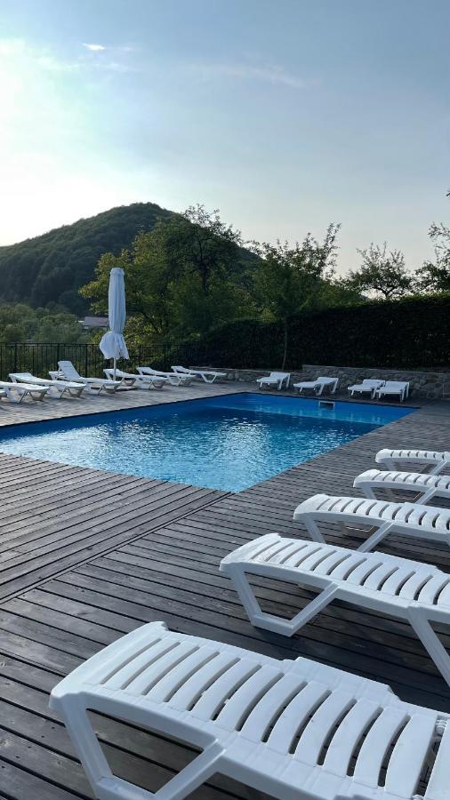 гірський узвіз Hotel Vizhenka